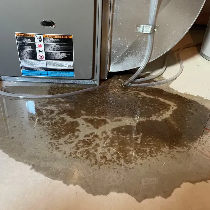 Appliance Leak Cleanup in Mount Olive, NC